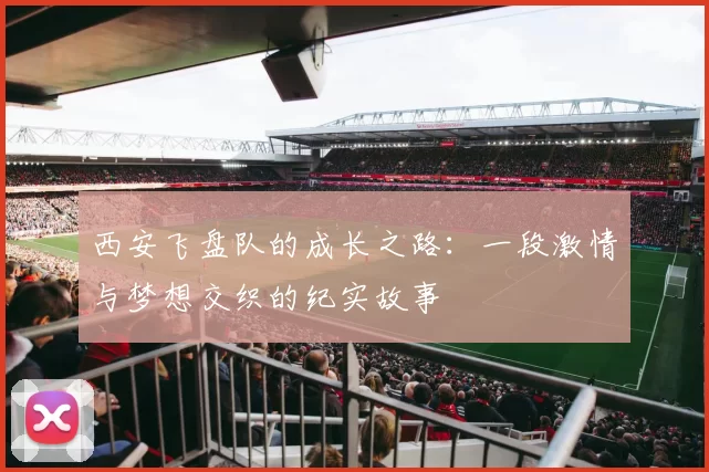 西安飞盘队的成长之路：一段激情与梦想交织的纪实故事